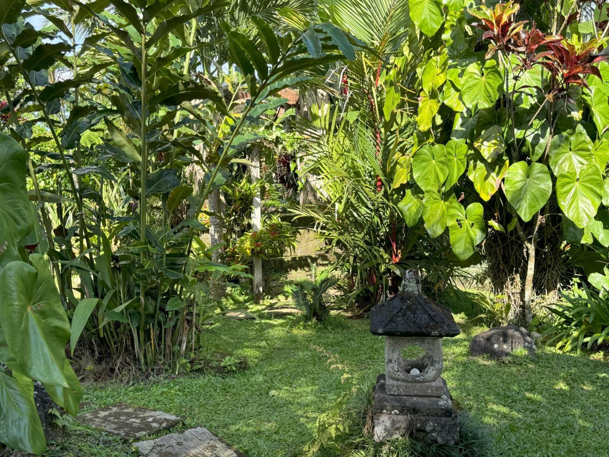 Dewa Jati Cottages Паянган Экстерьер фото