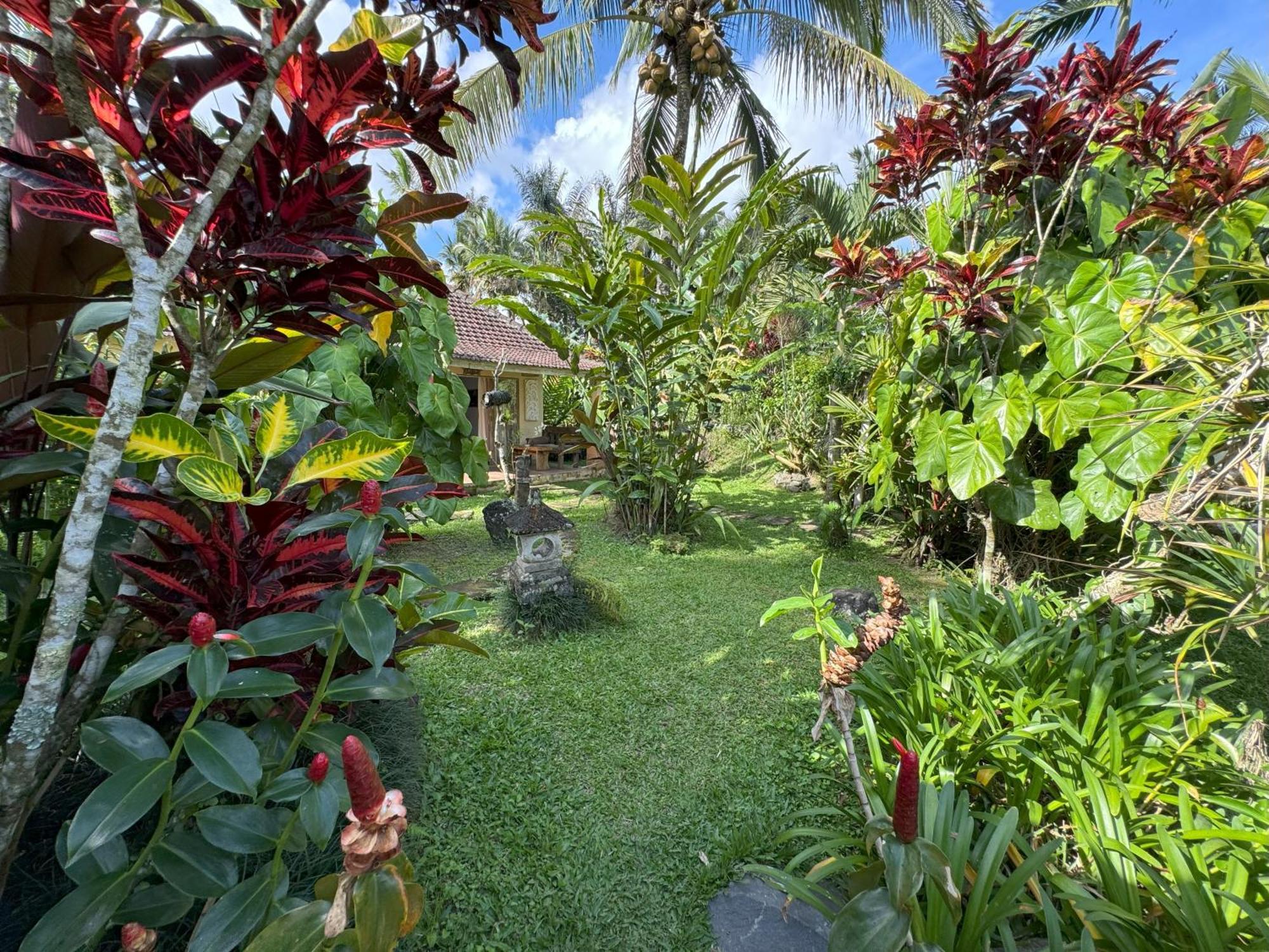 Dewa Jati Cottages Паянган Экстерьер фото